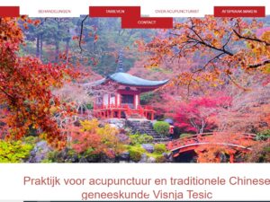 Praktijk voor acupunctuur en traditionele Chinese geneeskunde Visnja Tesic