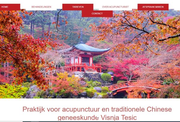 Praktijk voor acupunctuur en traditionele Chinese geneeskunde Visnja Tesic